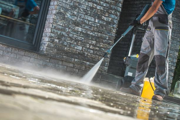Best Spring Cleaning  in West Bishop, CA